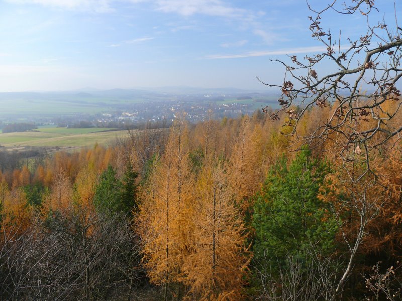P1010090.JPG